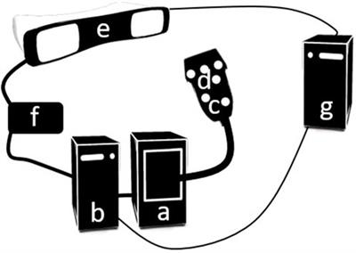 Quantitative evaluation of fast free-hand volumetric ultrasound